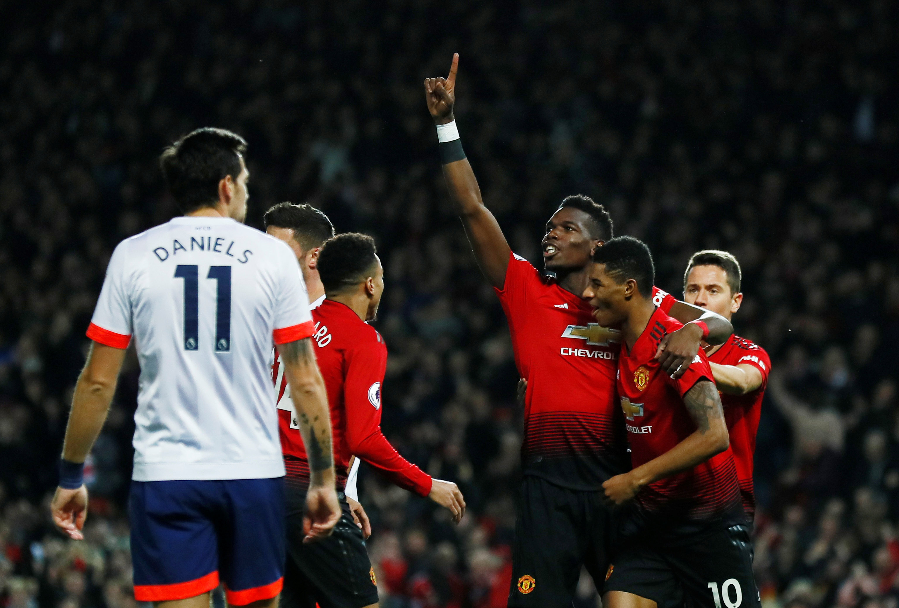 成功引进这 成功引进这